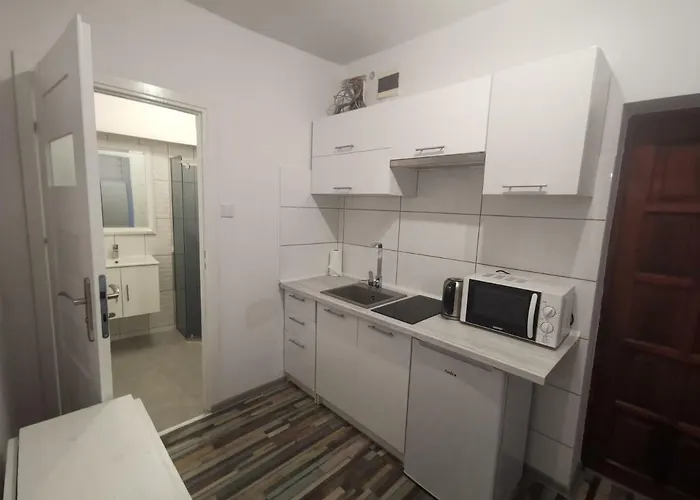 Wygodny S3 公寓 Kaliszki